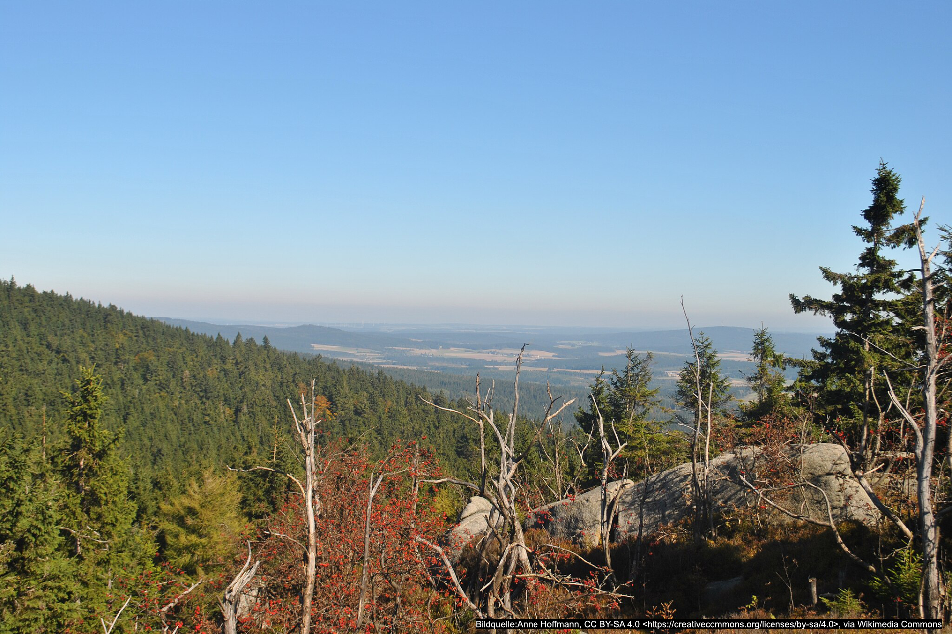 Die schönsten Berggipfel im Fichtelgebirge, der Nußhardt.