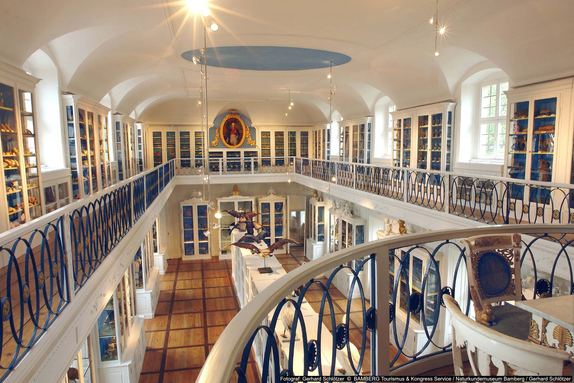 Naturkundemuseum-Bamberg-Vogelsaal